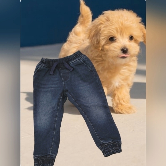 Joe's Jeans - Picture 1 of 10